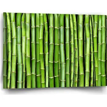 Obraz Sablio Obraz Bambus - 60x40 cm