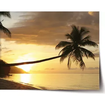 Plakát Sablio Plakát Palma - 60x40 cm