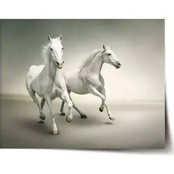 Plakát Sablio Plakát Dva bílí koně - 60x40 cm