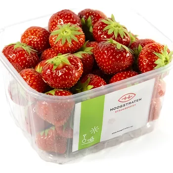 Jahody čerstvé, vanička 500g