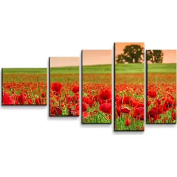 Obraz Sablio Obraz - 5-dílný Pole vlčích máků 2 - 100x60 cm