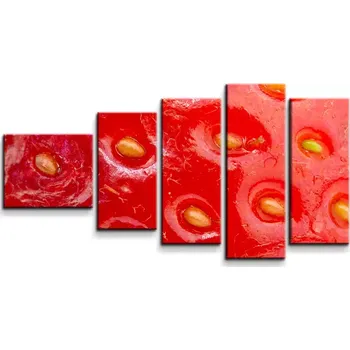 Obraz Sablio Obraz - 5-dílný Detail jahody - 100x60 cm
