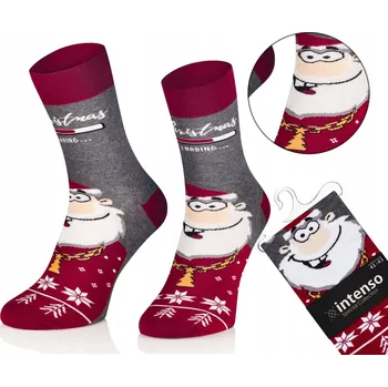 Pánská móda Ponožky Intenso 1887_S15 vícebarevné velikost 41-43