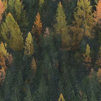 Funkční úplet na trička malba les