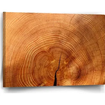 Obraz Sablio Obraz Dřevo 2 - 60x40 cm