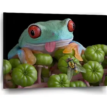 Obraz Sablio Obraz Veselá žába - 60x40 cm