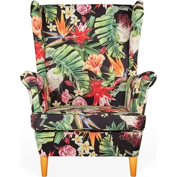 Křeslo Křeslo ušák Family Meble vícebarevné