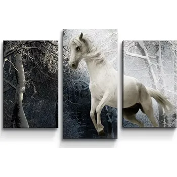 Obraz Sablio Obraz - 3-dílný Bílý kůň - 75x50 cm