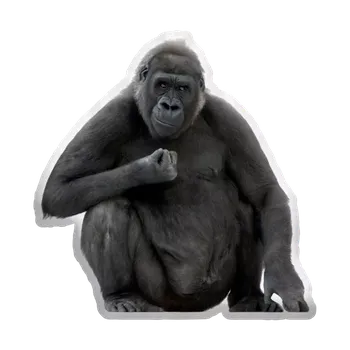 Polštář Sablio 3D polštář ve tvaru Gorila