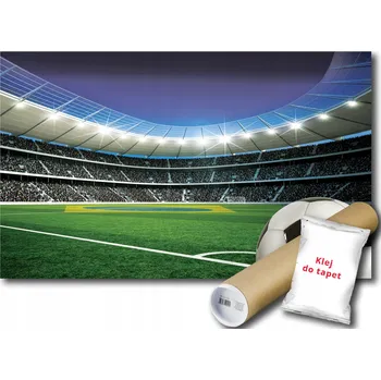 Fototapeta FOTOTAPETA FOTBALOVÝ MÍČ HŘIŠTĚ FXL 208x146 F1915 #