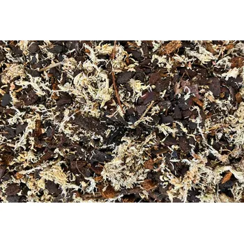 Substrát Substrát pro rašeliníkové tyče - 25,5 l