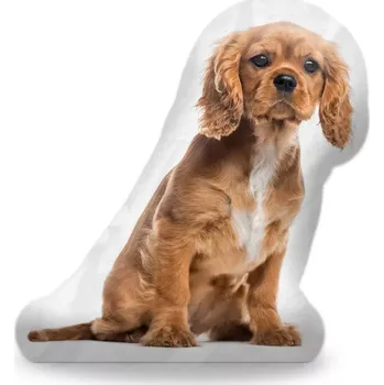 Polštář Sablio 3D polštář ve tvaru King charles spaniel