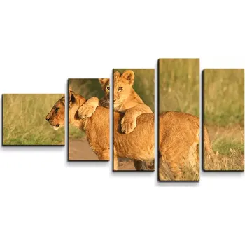Obraz Sablio Obraz - 5-dílný Lvíčata - 100x60 cm