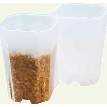 Květináč Čtvercový květináč pro Aroidy - 7 cm × 10 cm