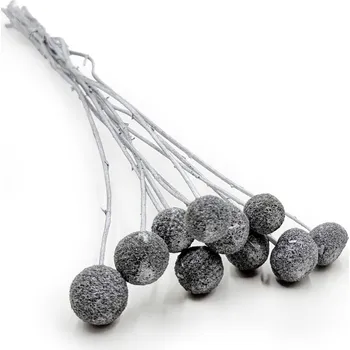 mech-mech.cz Sušená Kraspédia - (Craspedia) - Stříbrná 10 ks