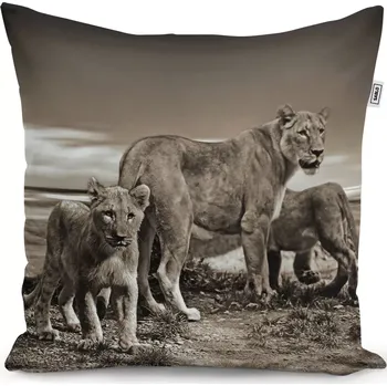 Polštář Sablio Polštář Lvice a lvíčata - 50x50 cm