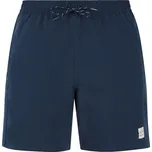 Pánské plážové šortky Protest PRTBAKY Protest modrá 3042869