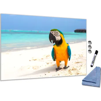 Kancelářský nábytek Skleněná magnetická tabule - papoušek Ara Rozměr V/Š: 30x40cm