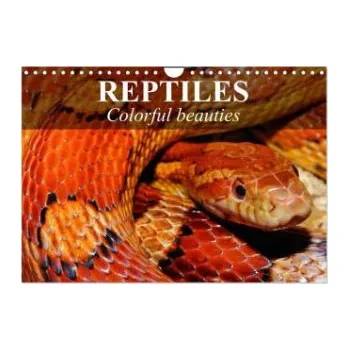 Diář Reptiles Colorful beauties (Wall Calendar 2026 DIN A4 landscape), CALVENDO 12 Month Wall Calendar: Cold-blooded beauties. DE – Calvendo,Elisabeth Stanzer (EN)