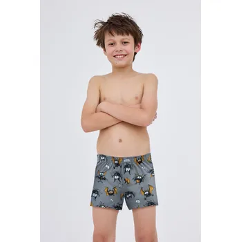 Chlapecké oblečení Cornette chlapecké volné trenýrky 715/06 netopýři