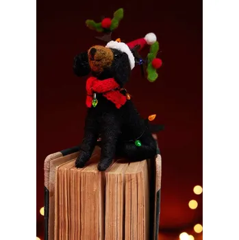 Vánoční ozdoba Ozdoba na vánoční stromeček Medicine více barev RW25-DEU841 vícebarevná MLX