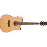 Ibanez AW65ECE-LG