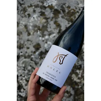 Dornfelder 2023, zemské víno, Vinařství Ladislav Holec, suché