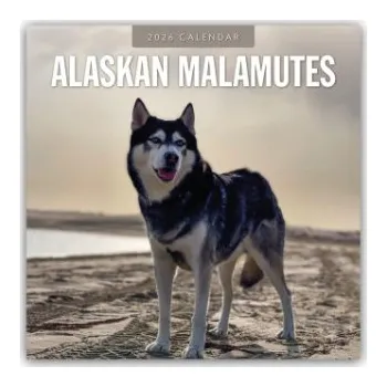 Diář Alaskan Malamutes - Alaskischer Malamute 2026 - 16-Monatskalender (EN)