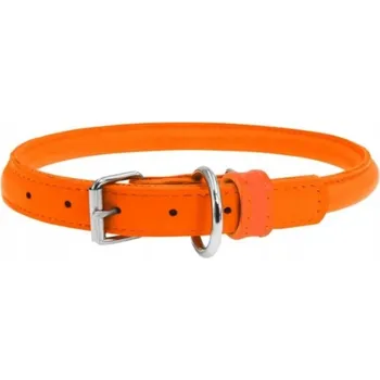 Obojek pro psa Obojek pro psa kožený klasický WAUDOG COLLAR r. M