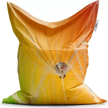 Sedací pytel Sablio Sedací vak Classic Odkvetlé pampelišky 2 - 150x100 cm