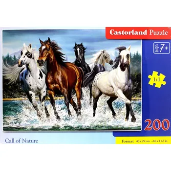 Puzzle Castorland 200 dílků - Hádanky Volání přírody 200