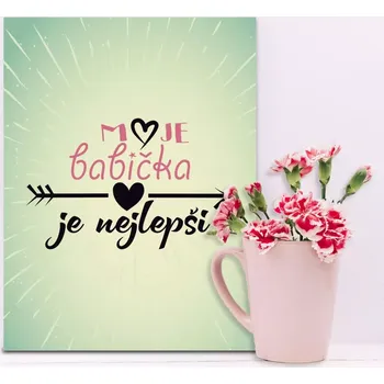 Plechová cedule Sablio Dárková cedulka Moje babička je nejlepší: 30x40 cm
