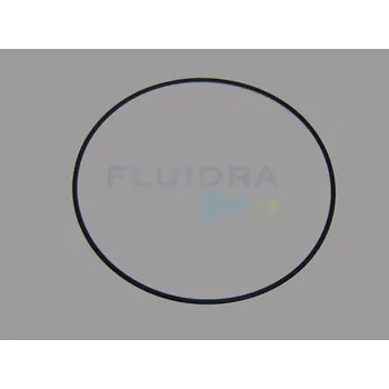 Těsnění torické bočního víka filtru PTK