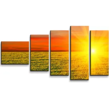 Obraz Sablio Obraz - 5-dílný Západ slunce nad loukou - 100x60 cm