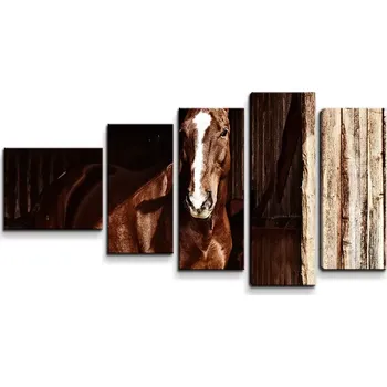 Obraz Sablio Obraz - 5-dílný Kůň ve stáji - 100x60 cm