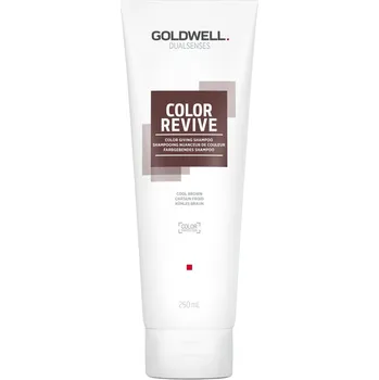 Šampon Šampon pro oživení barvy vlasů Cool Brown Dualsenses Color Revive (Color Giving Shampoo) Goldwell - 250 ml