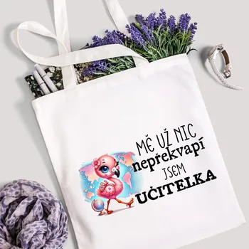 Taška s potiskem Textilní taška, Mě už nic nepřekvapí , jsem učitelka, bavlněná, 41x37cm, mix barev, 1 kus Vyberte si barvu ZDE:: bílá