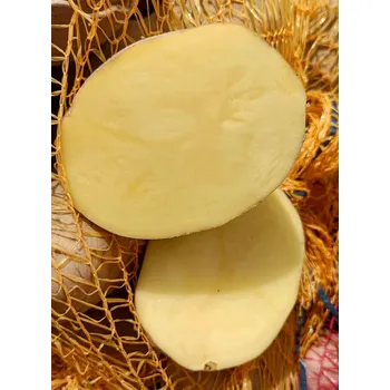 Ovoce Brambory konzumní od farmáře žluté AB salátové Anuschka 15 kg