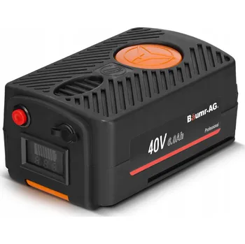 Lithium-iontová akumulátor pro vozíky Bäumr-AG a Schwartzmann