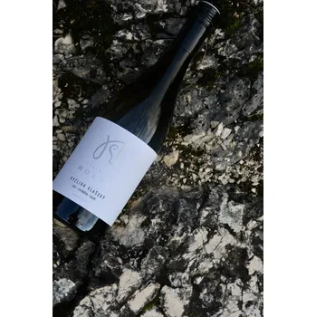 Víno Ryzlink vlašský BARREL 2024, moravské zemské víno, Vinařství Ladislav Holec, suché