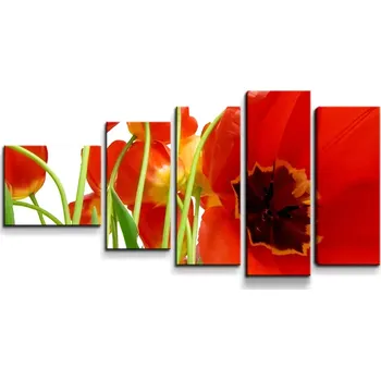 Obraz Sablio Obraz - 5-dílný Tulipány - 100x60 cm