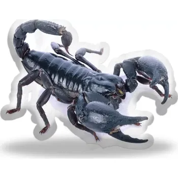 Polštář Sablio 3D polštář ve tvaru Škorpion