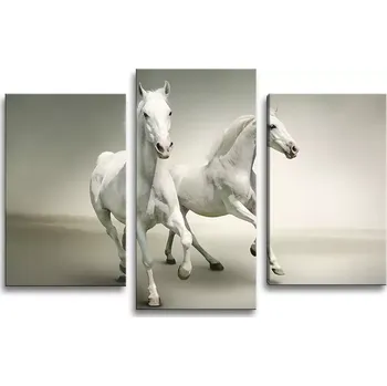 Obraz Sablio Obraz - 3-dílný Dva bílí koně - 75x50 cm