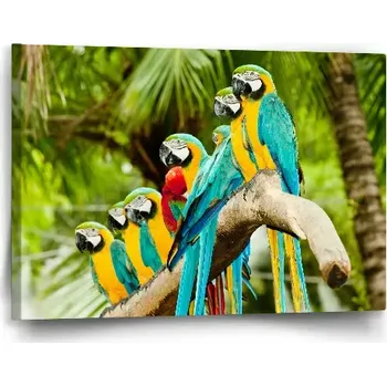 Obraz Sablio Obraz Papoušci na větvi - 60x40 cm
