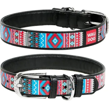 Obojek pro psa Kožený obojek pro psa, dekorativní, klasický Waudog, velikost 21-29 cm, šířka: 12 mm