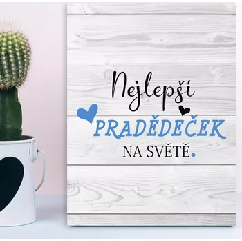 Plechová cedule Sablio Dárková cedulka Nejlepší pradědeček na světě: 30x40 cm