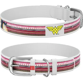 Obojek pro psa Kožený obojek pro psa klasický Waudog, velikost 37-48 cm, šířka 25 mm