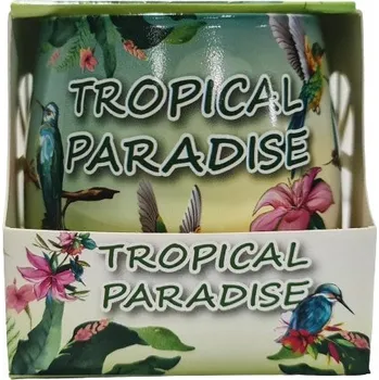 Svíčka Parafínová vonná svíčka TROPICAL PARADISE Adpal