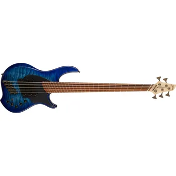 Baskytara Dingwall Combustion 5 PF Indigo Burst + prodloužená záruka 3 roky