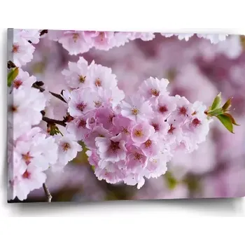 Obraz Sablio Obraz Rozkvetlý strom - 60x40 cm